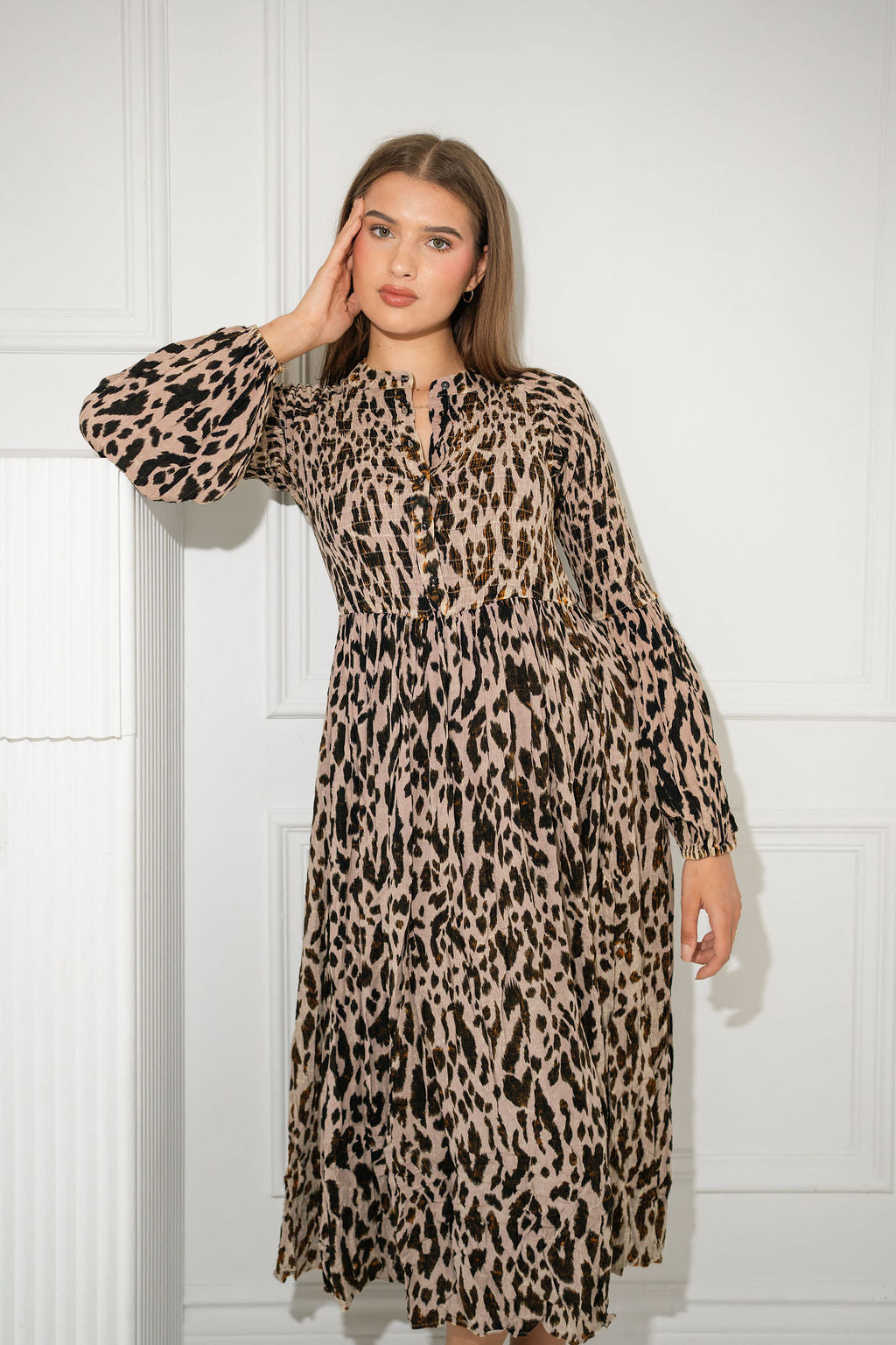 Animal Print Smocked Full Sleeve dress